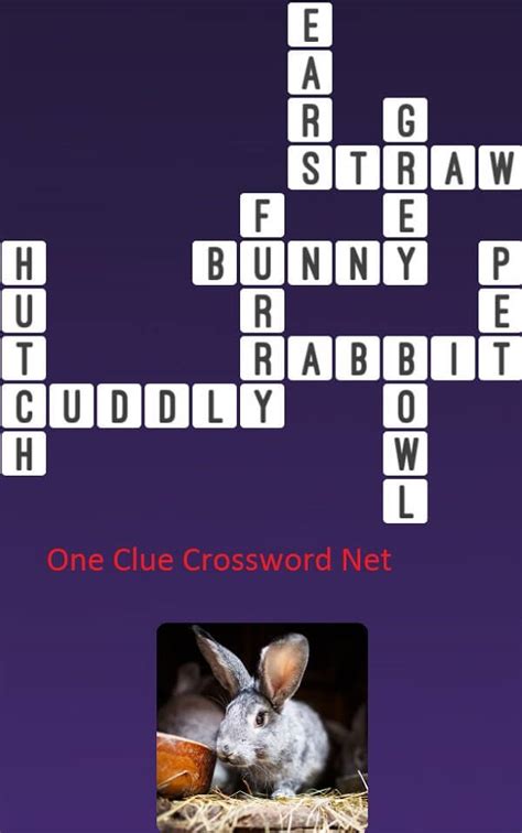 rabbit Crossword Clue